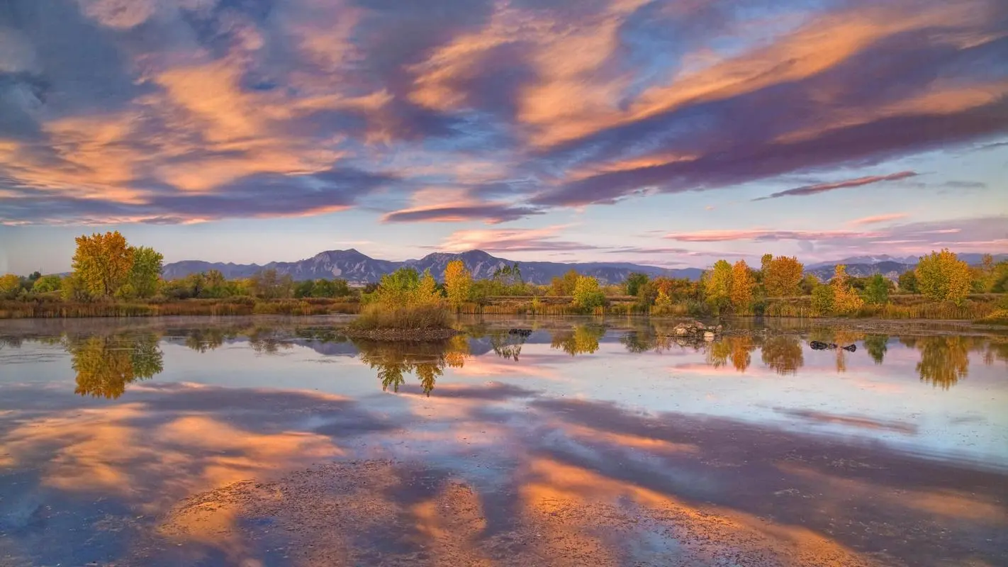 节能智能系统网络化